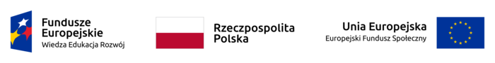 FE_POWER_poziom_pl-1_rgb.png
